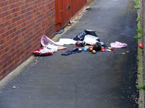 Liberal Democrat councillors deemed littering to be one of key issues to be addressed by 